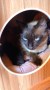 Bella und Baby (1)